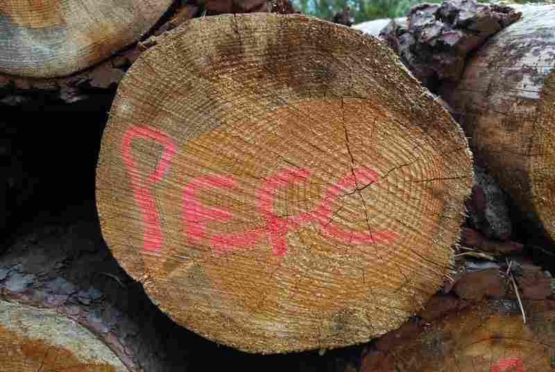 PEFC-zertifiziertes Holz